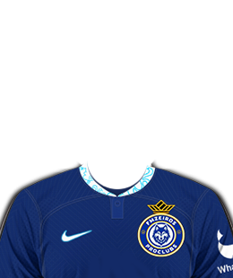 Camisa do Clube
