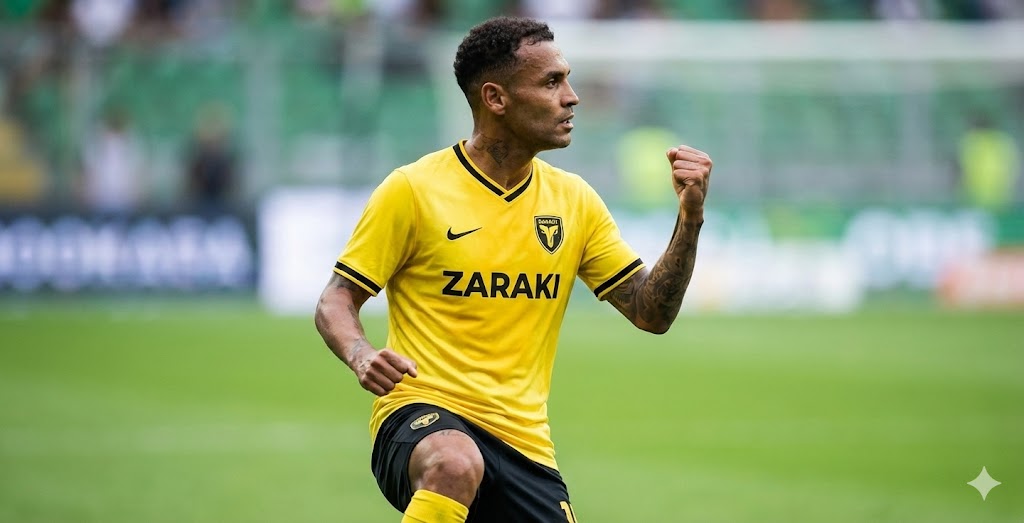 Imagem da Publicação